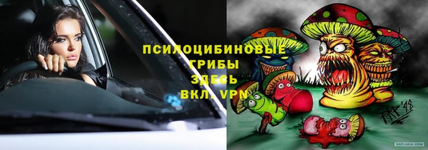 винт Аркадак