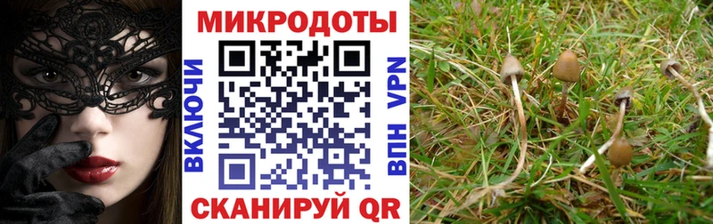 даркнет сайт  Райчихинск  ссылка на мегу   Псилоцибиновые грибы Magic Shrooms 